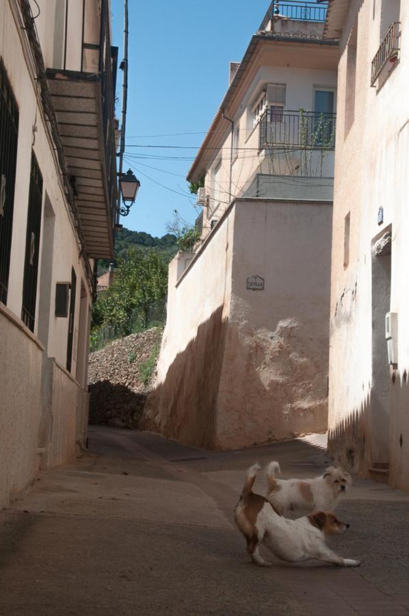 Casa Beatles Del Valle Pinos del Valle Bagian luar foto